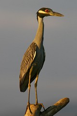 [Laguna de Barra de Navidad]