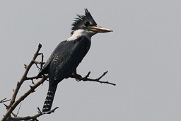 [la Barra 2013-05-07]