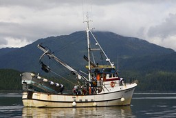 [Boats on the B.C. Coast]